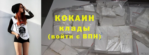 mdpv Заводоуковск