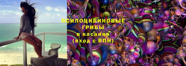 mdpv Заводоуковск