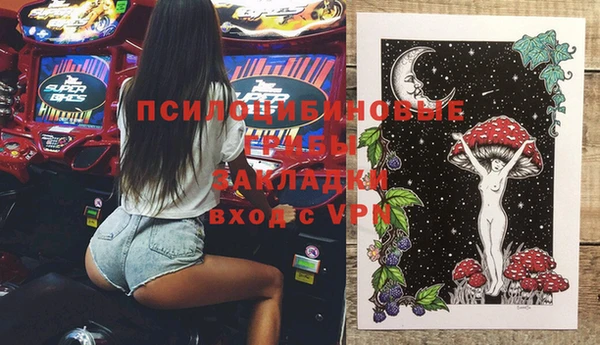 mdpv Заводоуковск