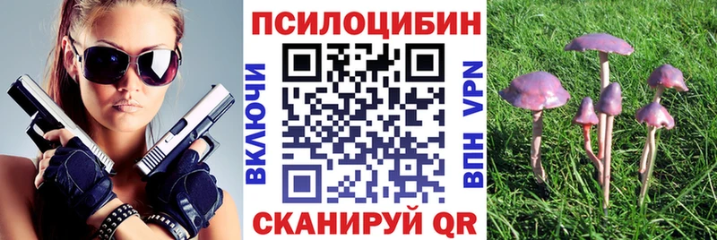 Галлюциногенные грибы Psilocybine cubensis  Купить закладки  Советск 